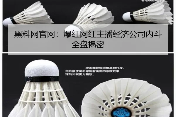 黑料网官网：爆红网红主播经济公司内斗全盘揭密